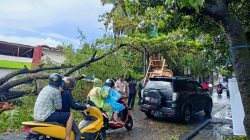 Akibat Hujan Deras Disertai Angin Kencang Sebuah Pohon Tumbang ke Jalan Raya, Polsek Pratim Bantu Evakuasi