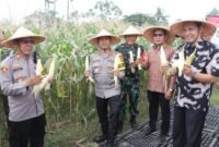 Kegiatan panen raya ini merupakan tindak lanjut dari program nasional ketahanan pangan yang diinisiasi Presiden RI, dan dilaksanakan serentak oleh jajaran Polri di berbagai wilayah.
