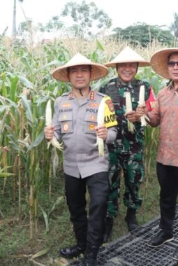 Polres Metro Tangerang Kota Gelar Panen Raya Jagung Serentak Kuartal III