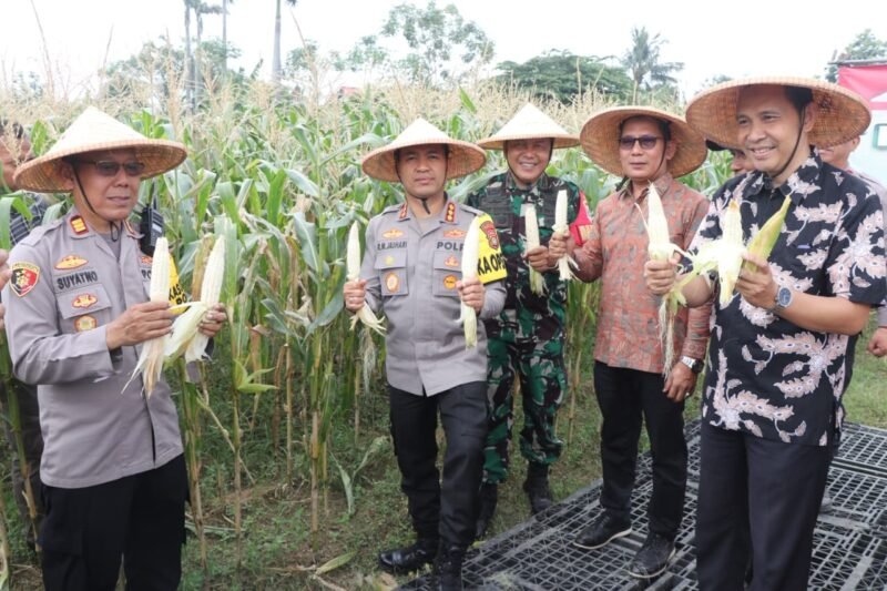 Kegiatan panen raya ini merupakan tindak lanjut dari program nasional ketahanan pangan yang diinisiasi Presiden RI, dan dilaksanakan serentak oleh jajaran Polri di berbagai wilayah.