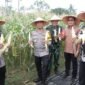 Kegiatan panen raya ini merupakan tindak lanjut dari program nasional ketahanan pangan yang diinisiasi Presiden RI, dan dilaksanakan serentak oleh jajaran Polri di berbagai wilayah.