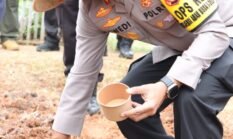 Sinergi TNI-Polri dan Forkopimko Jakbar Wujudkan Ketahanan Pangan Lewat Penanaman Jagung Serentak