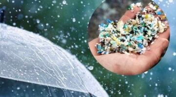 Langit Jakarta Penuh Plastik: Fakta di Balik Hujan Mikroplastik