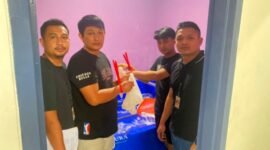 Polres Metro Tangerang Kota berhasil mengungkap kasus dugaan penjualan benih bening lobster