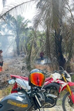 Puntung Rokok Picu Kebakaran Lahan Sawit di Lariang, Polisi dan Warga Bergerak Cepat