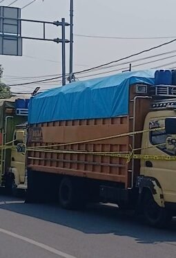Penadah 40 Ton Pupuk Subsidi di Pasangkayu Dibekuk Polresta Mamuju! Dikirim dari Bone Sulsel, Tergiur Keuntungan Besar
